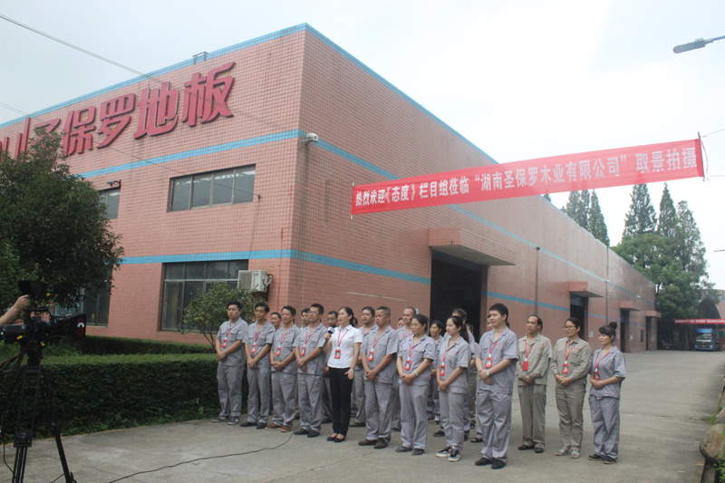 圣保羅木業(yè)榮膺木材深加工行業(yè)”中國民族品牌“稱號