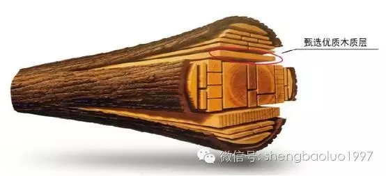 高“顏值”高內涵養(yǎng)成術（三） ——圣保羅實木地板