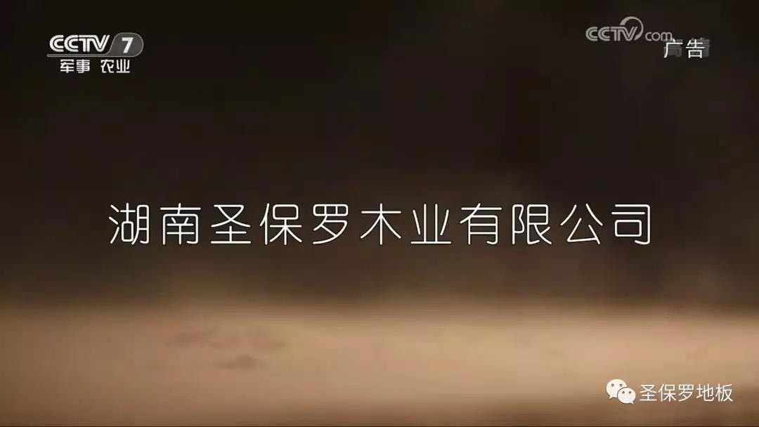 圣保羅：一塊健康地板